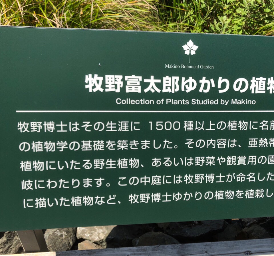 少し前の休日 O O 坪井造園の花時期日記